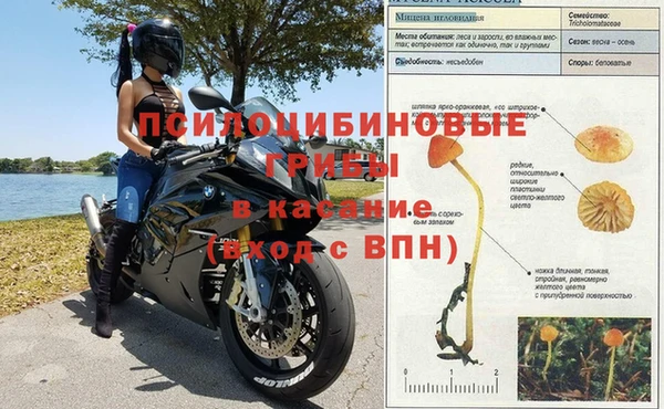 трава Бронницы