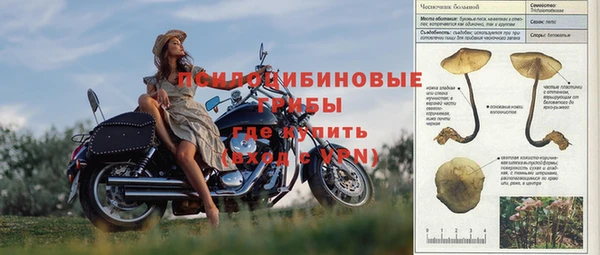 трава Бронницы