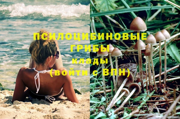 трава Бронницы