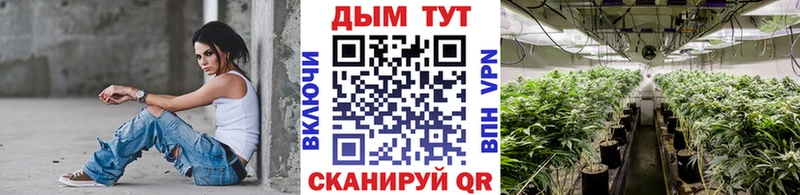 Конопля OG Kush Нерчинск