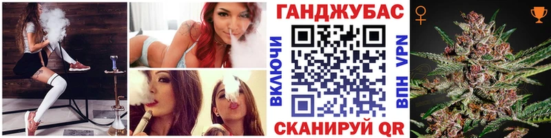 Купить закладки  Нерчинск  Бошки марихуана сатива 